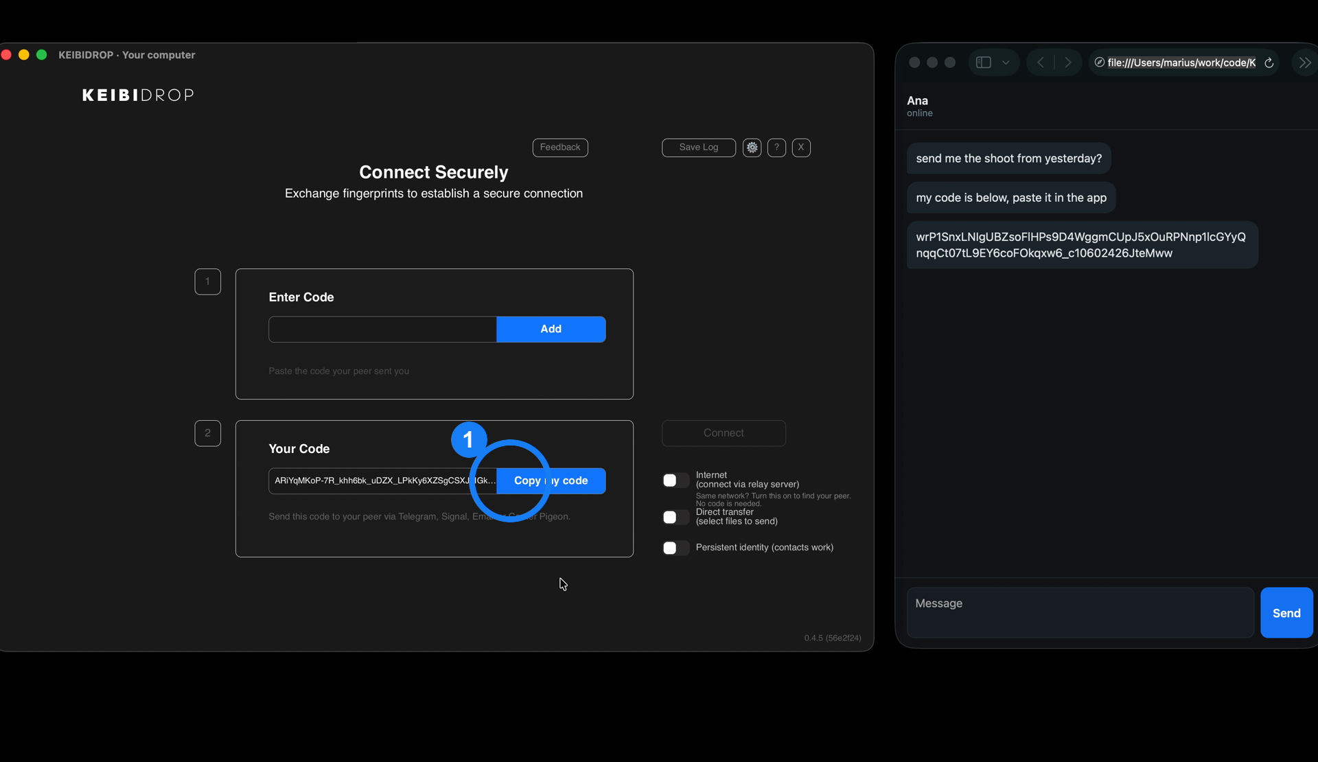 The connect screen with a ring around the Copy my code button
