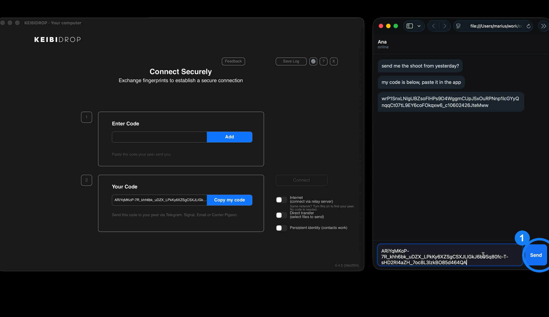 A chat window with the code pasted as a message and the reply with the other code